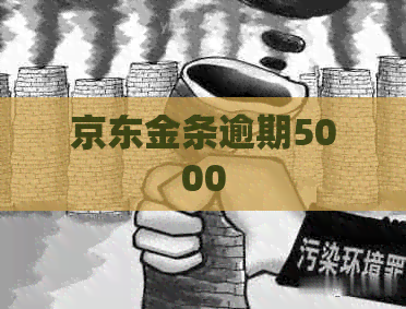 京东金条逾期5000