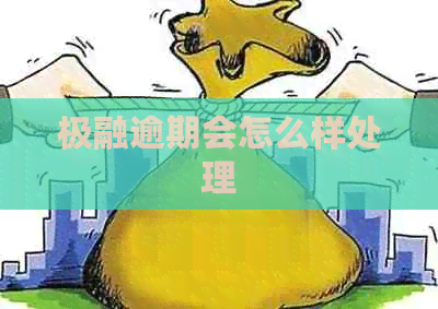 极融逾期会怎么样处理