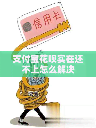 支付宝花呗实在还不上怎么解决