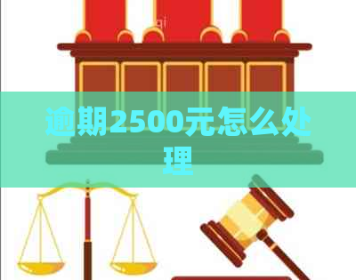 逾期2500元怎么处理