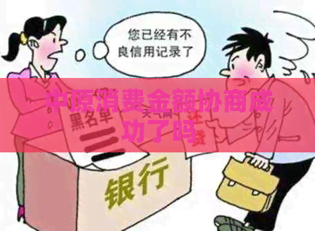 中原消费金额协商成功了吗