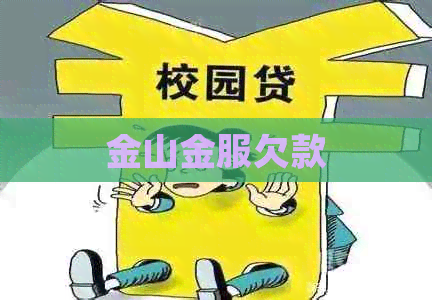 金山金服欠款