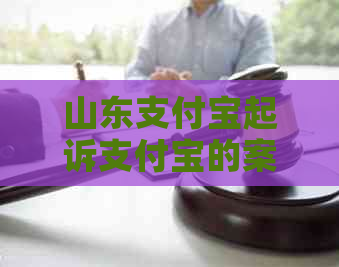 山东支付宝起诉支付宝的案例分析