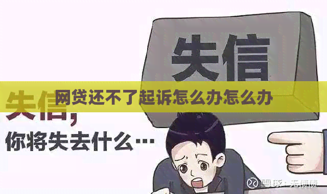 网贷还不了起诉怎么办怎么办