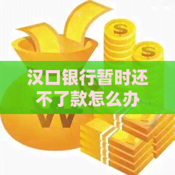 汉口银行暂时还不了款怎么办