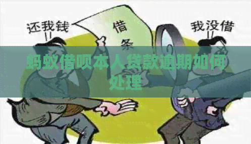 蚂蚁借呗本人贷款逾期如何处理