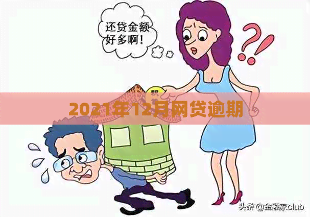 2021年12月网贷逾期