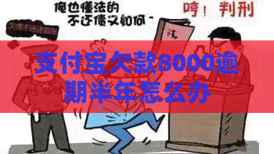 支付宝欠款8000逾期半年怎么办