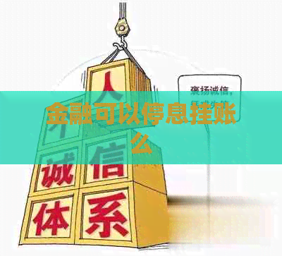 金融可以停息挂账么