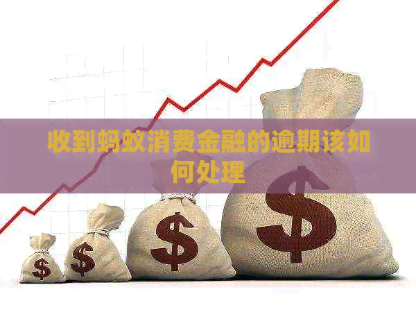 收到蚂蚁消费金融的逾期该如何处理