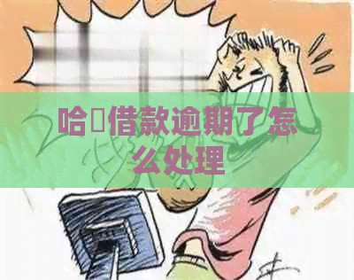 哈啰借款逾期了怎么处理