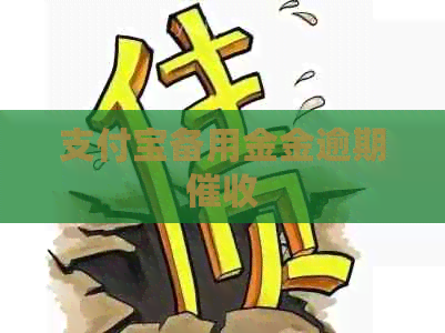 支付宝备用金金逾期