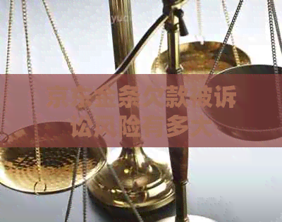 京东金条欠款被诉讼风险有多大