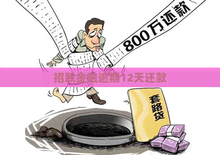 招联金融逾期12天还款