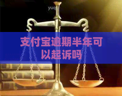 支付宝逾期半年可以起诉吗