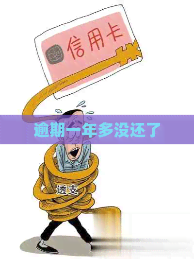 逾期一年多没还了