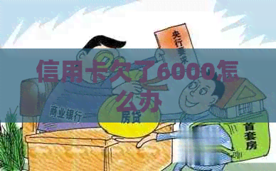 信用卡欠了6000怎么办