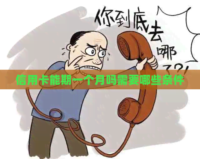 信用卡能期一个月吗需要哪些条件