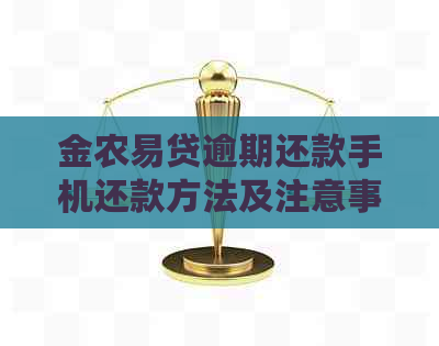 金农易贷逾期还款手机还款方法及注意事项