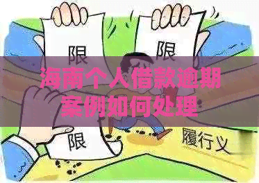 海南个人借款逾期案例如何处理