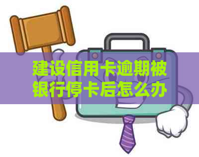 建设信用卡逾期被银行停卡后怎么办