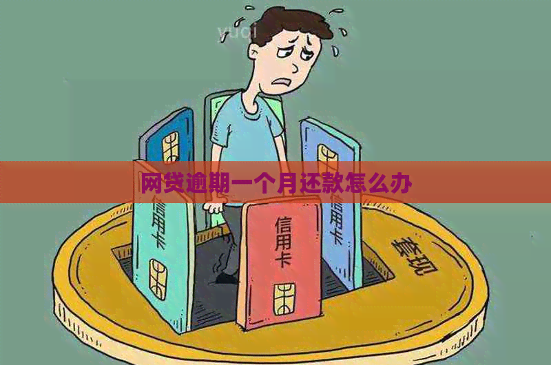 网贷逾期一个月还款怎么办