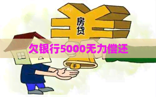 欠银行5000无力偿还