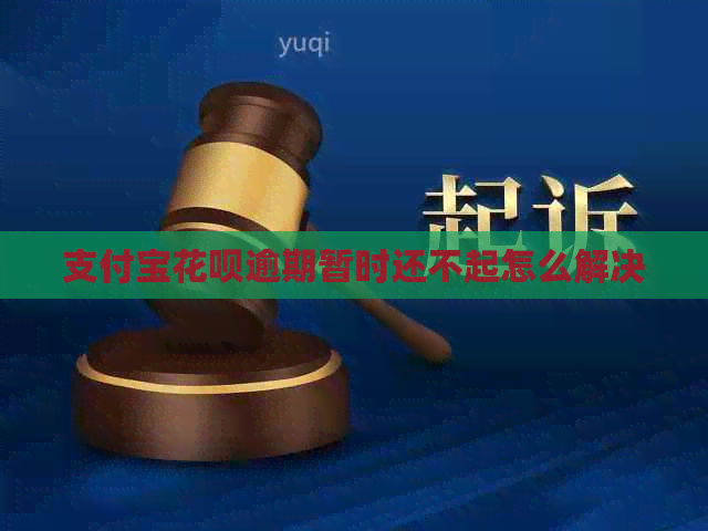 支付宝花呗逾期暂时还不起怎么解决