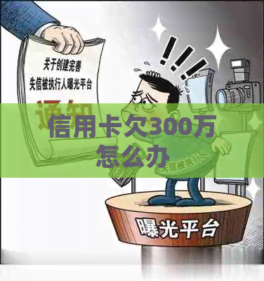 信用卡欠300万怎么办