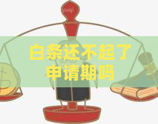 白条还不起了申请期吗