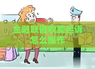 金融联要起诉怎么操作