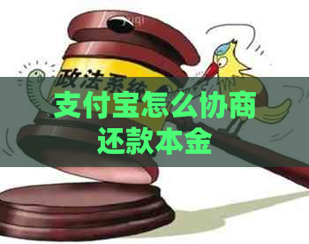 支付宝怎么协商还款本金