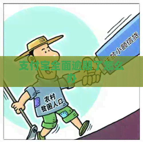 支付宝全面逾期了怎么办