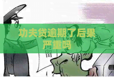 功夫贷逾期了后果严重吗