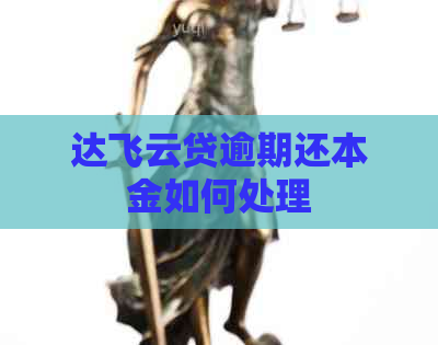 达飞云贷逾期还本金如何处理