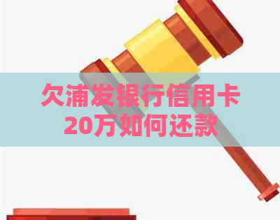 欠浦发银行信用卡20万如何还款