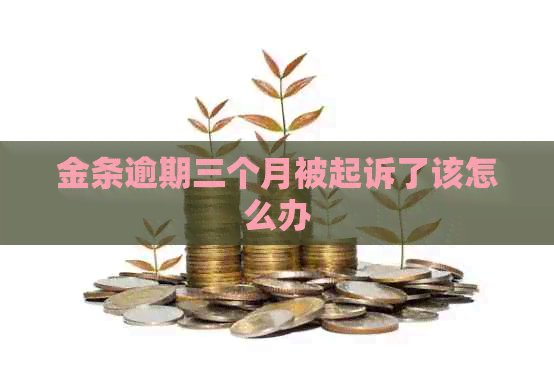 金条逾期三个月被起诉了该怎么办