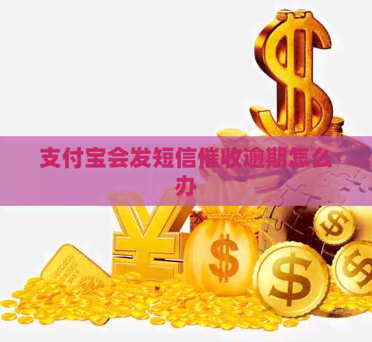 支付宝会发短信逾期怎么办