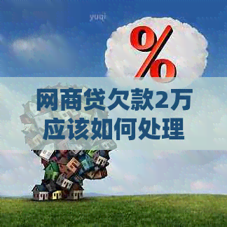 网商贷欠款2万应该如何处理