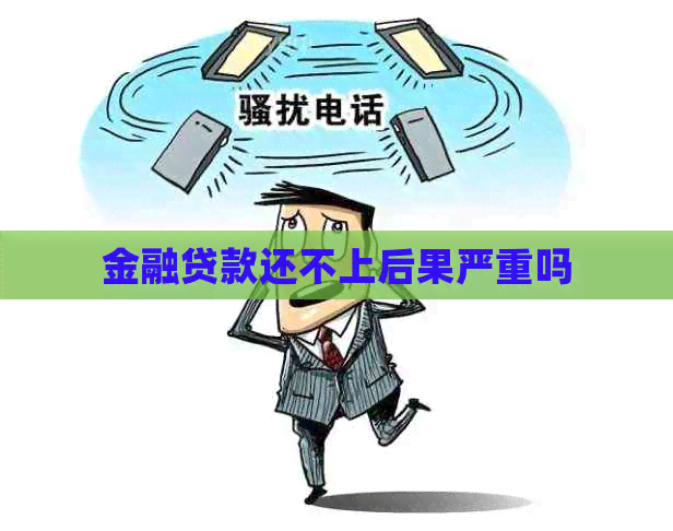 金融贷款还不上后果严重吗