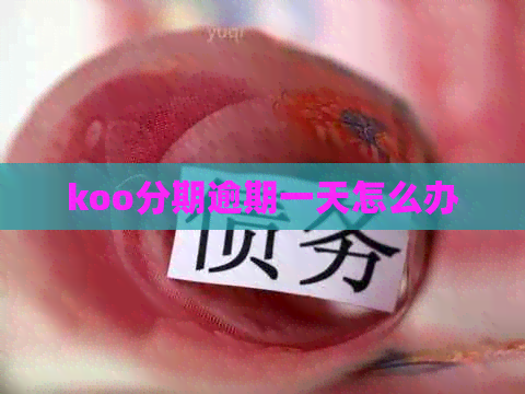 koo分期逾期一天怎么办