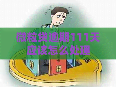 微粒贷逾期111天应该怎么处理