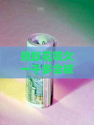 蚂蚁花呗欠一千多会被起诉吗