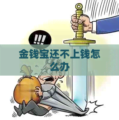 金钱宝还不上钱怎么办