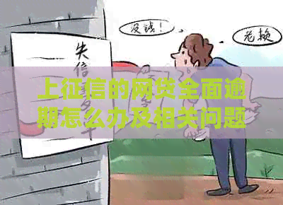 上的网贷全面逾期怎么办及相关问题解答