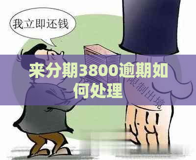 来分期3800逾期如何处理