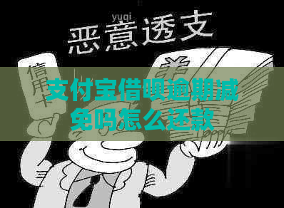 支付宝借呗逾期减免吗怎么还款