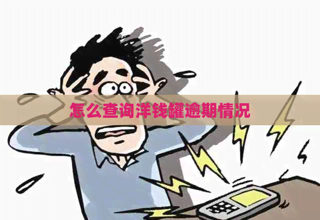 怎么查询洋钱罐逾期情况