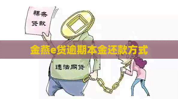 金燕e贷逾期本金还款方式