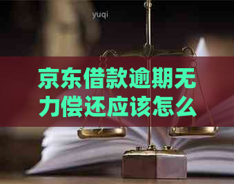 京东借款逾期无力偿还应该怎么办